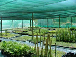 Manufacturers Exporters and Wholesale Suppliers of Shade Nets Delhi Delhi